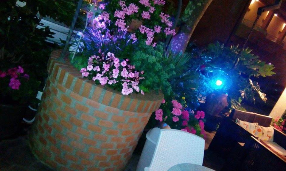Lorena Hotel Cervia